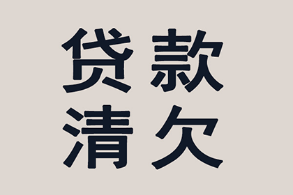 个人欠款被法院强制执行可能带来的不利影响